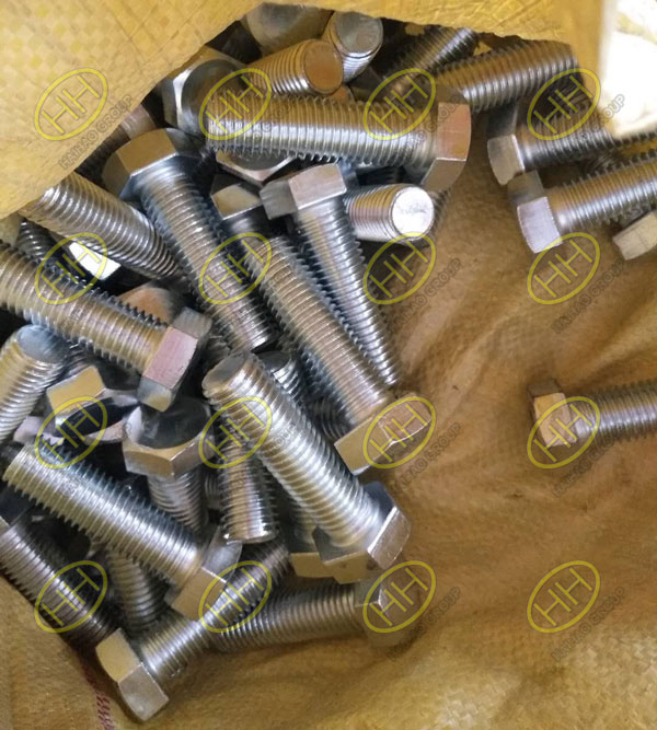 Stainless steel bolts finished in Haihao Group