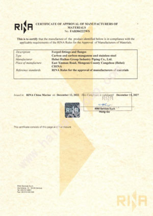 RINA Certificate