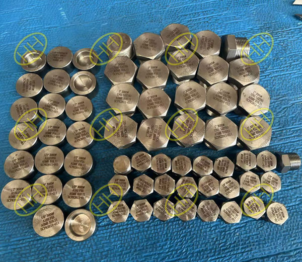 Super duplex stainless steel ASTM A182 GR.F55 Socket weld caps and UNS S32760 NPT Plugs