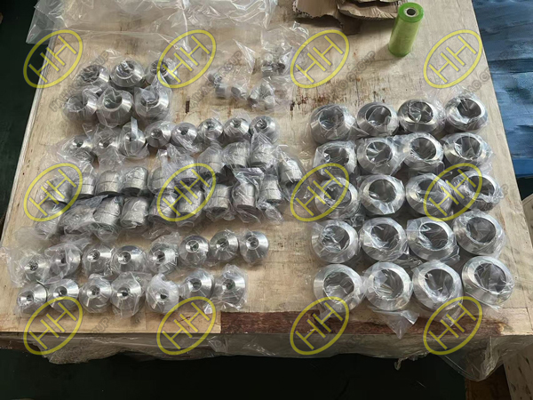 ASTM A182 F51 forged fittings including socket weld elbows, threaded plugs, socket weld branch outlets and butt weld branch outlets manufactured by Haihao Group
